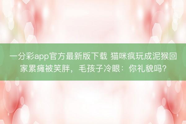 一分彩app官方最新版下載 貓咪瘋玩成泥猴回家累癱被笑胖，毛孩子冷眼：你禮貌嗎?